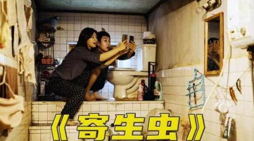 社会寄生虫,剖析其生存之道与危害