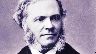 弗兰克,探寻人性与命运的哲学之旅